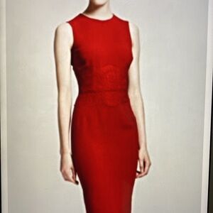 Lavia 96% Virgin Wool Stretch Red Lined Dress